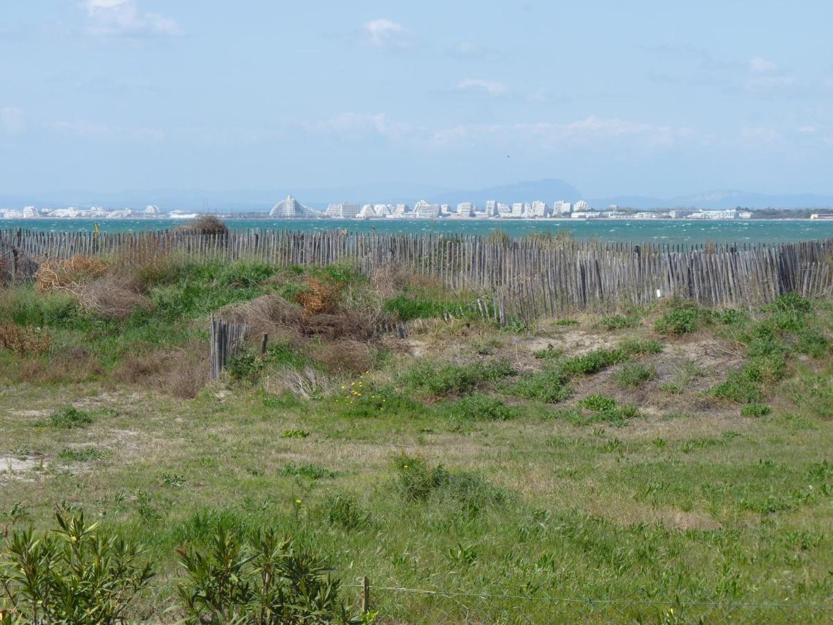Sol-Y-Days Flamant, Superbe Appartement En Rez De Jardin Avec Grande Terrasse Et Jardinet, Face A La Mer 勒格罗-迪鲁瓦 外观 照片